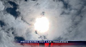 TFD offers ways to prevent hot car tragedies this summer