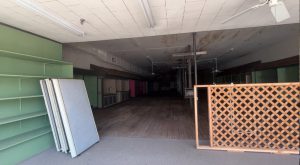 Downtown Troy sees successful economy, steady business