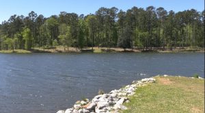 Tips to escape a sinking car, according to TFD