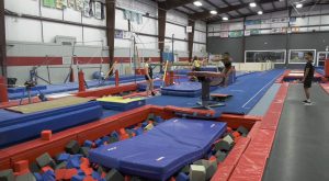 Meet TROY’s competition-winning gymnastics team