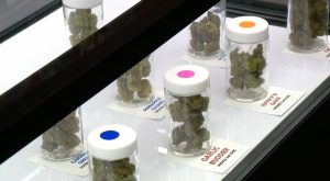 Residents smoking in dorms sparks concerns