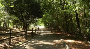 Troy University arboretum receives accessibility funding