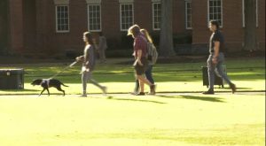 Students share what they’re thankful for this Thanksgiving