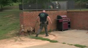 See how local law enforcement use Troy’s campus to train K-9s