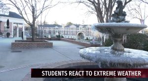 See how Troy students are reacting to the recent extreme cold
