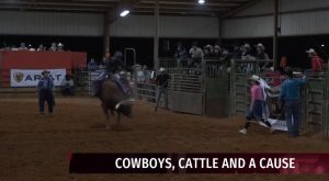 Cowboys, Cattle, and a Cause: Sigma Chi holds inaugural philanthropy rodeo