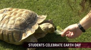 Earth Day Festival brings snakes, fashion, and conservation to campus