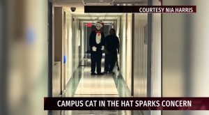 Cat in the Hat figure causes concern on Troy’s campus