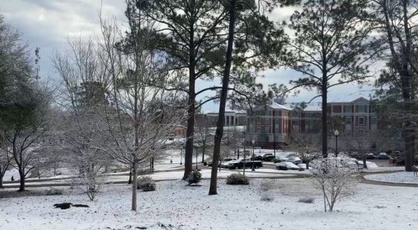 Snow falls on Troy University campus for second year in a row