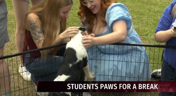 Puppies come to campus to give students a break from studying