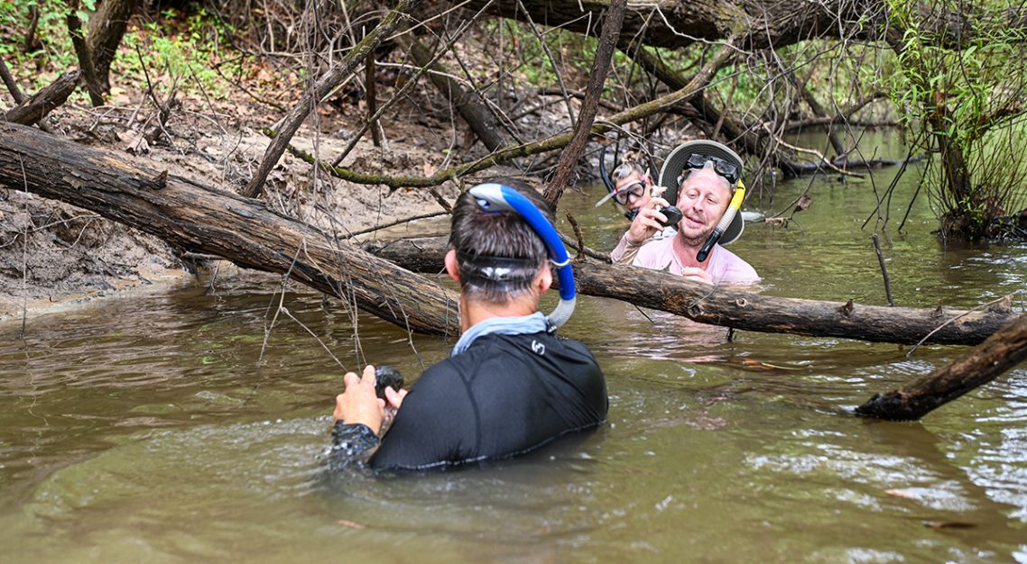 The researchers found multiple species of freshwater mussels in the lower Tallapoosa River.