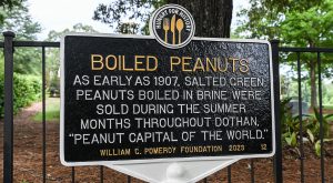Dothan was proclaimed the 