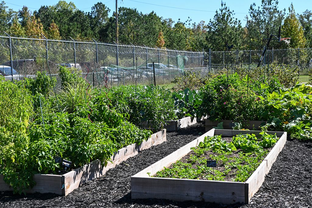 The Garden of Perseverance