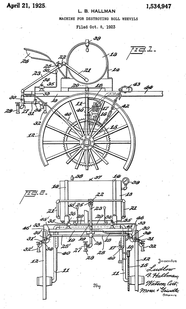 A U.S. patent for a boll weevil destruction.