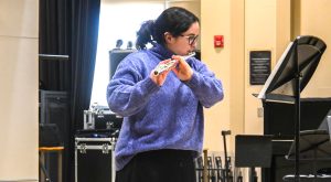 TROY’s Flute Day set for Feb. 28